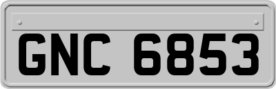 GNC6853