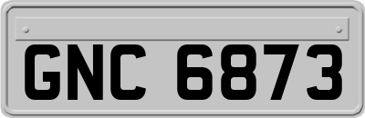 GNC6873
