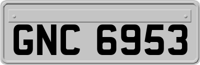 GNC6953