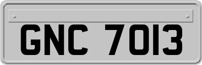 GNC7013