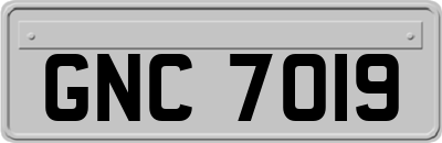 GNC7019