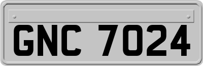 GNC7024
