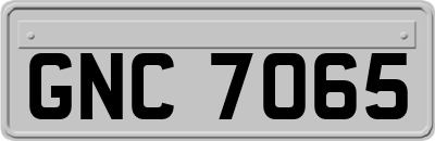 GNC7065