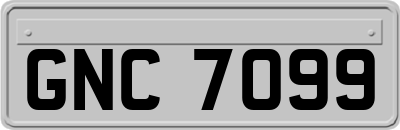GNC7099