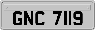 GNC7119