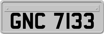 GNC7133