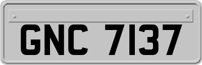 GNC7137