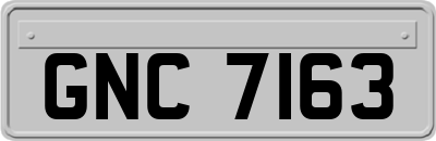 GNC7163