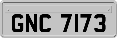 GNC7173