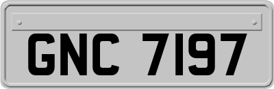GNC7197