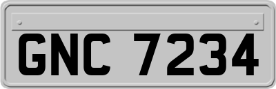 GNC7234