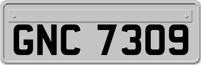 GNC7309