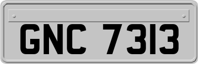 GNC7313