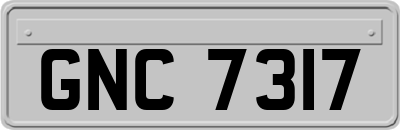 GNC7317