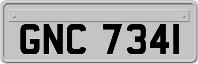 GNC7341