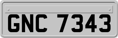 GNC7343