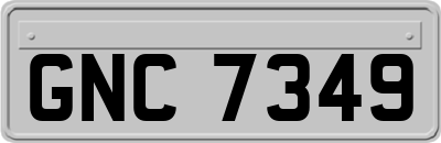 GNC7349