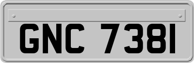 GNC7381