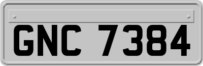 GNC7384