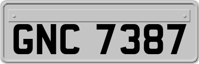 GNC7387