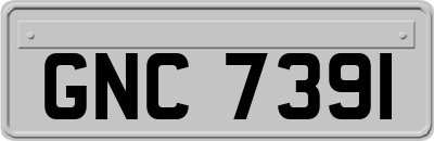GNC7391