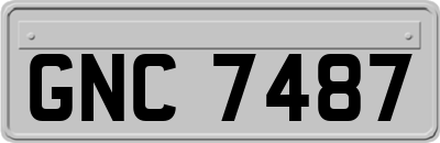 GNC7487