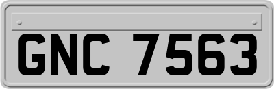 GNC7563