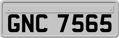 GNC7565