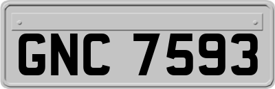 GNC7593