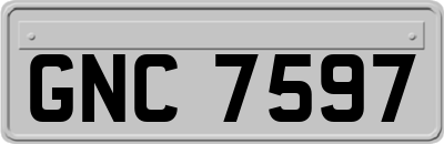 GNC7597