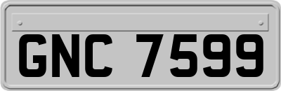 GNC7599