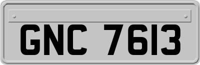GNC7613
