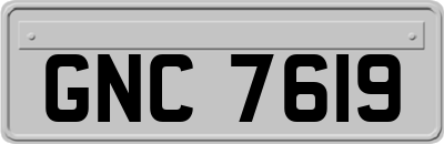 GNC7619