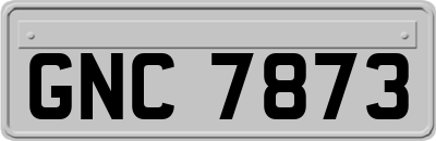 GNC7873