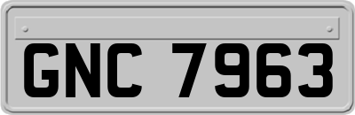 GNC7963