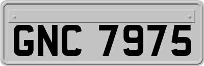 GNC7975