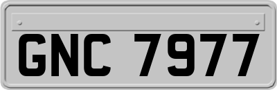 GNC7977