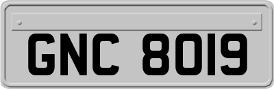 GNC8019