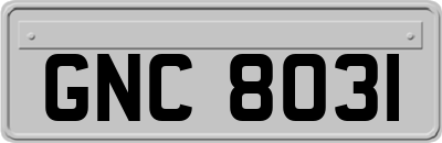 GNC8031