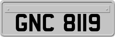 GNC8119