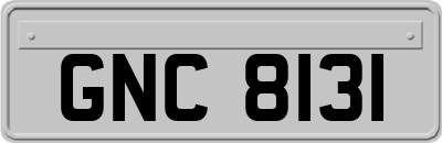 GNC8131