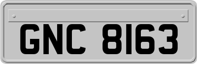 GNC8163