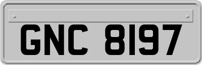 GNC8197