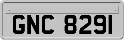 GNC8291