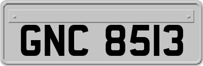 GNC8513