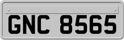GNC8565