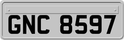 GNC8597