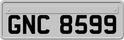 GNC8599