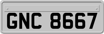 GNC8667
