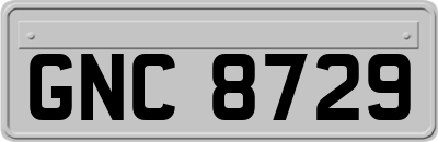 GNC8729